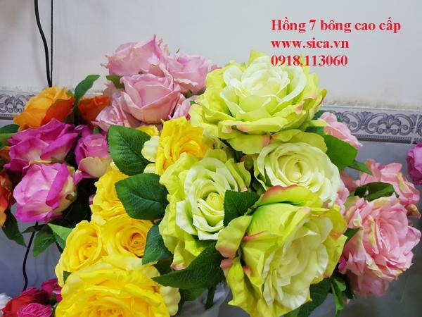 Hoa hồng 7 bông loại 1 cao cấp