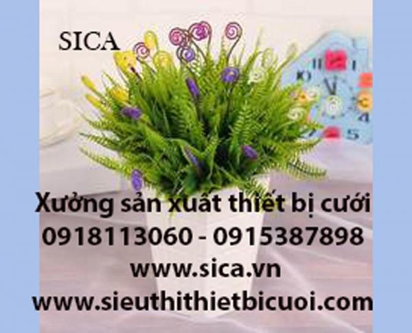 Bán chậu hoa các loại