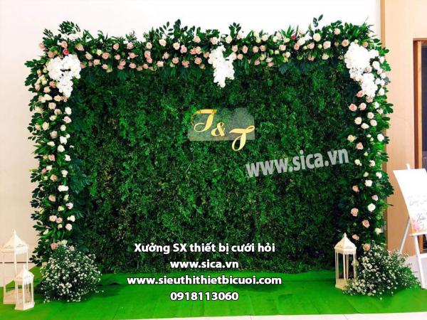 Backdrop, phông chụp hình cưới mới