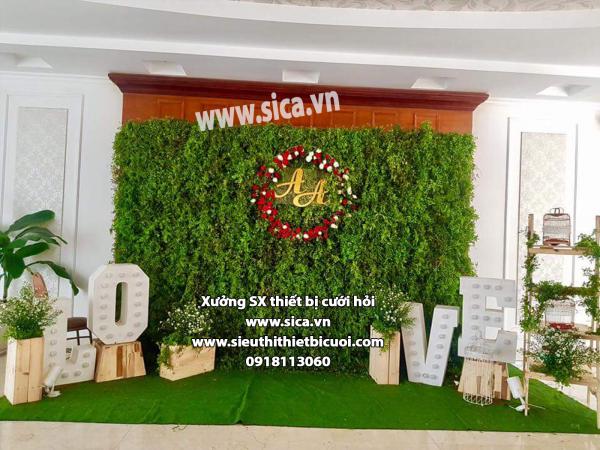 Backdground chụp hình đám cưới