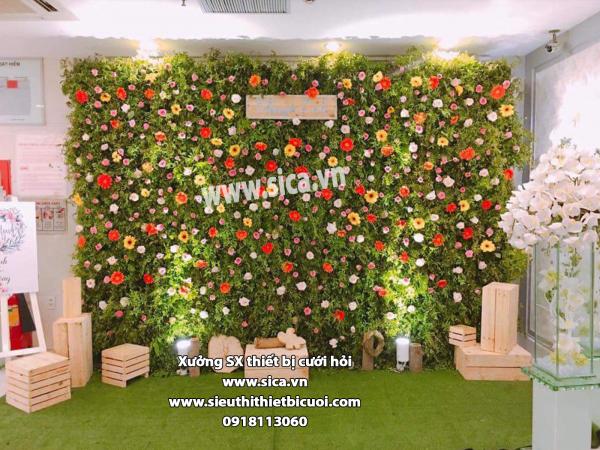 Trang trí phông chụp hình cưới