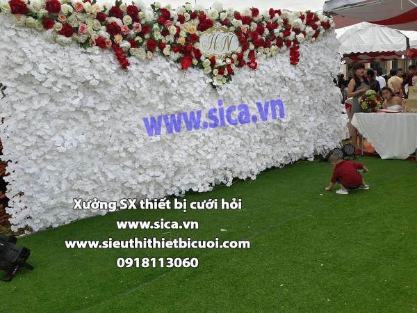 Cung cấp bán backdrop cưới hỏi mới nhất