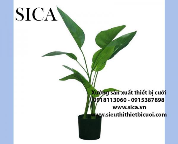 Mẫu lá mới được cập nhật tại shop hoa SiCa