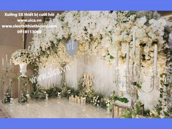 Nơi bán background uy tín chất lượng