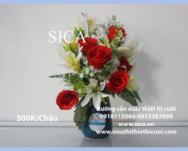 Bán chậu hoa gốm sứ giá rẻ