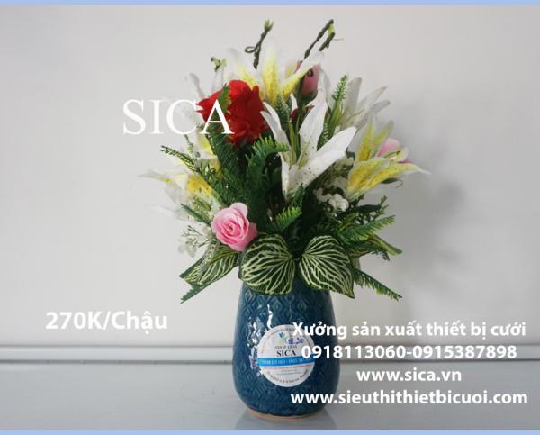 Bán chậu hoa gốm sứ đẹp giá rẻ