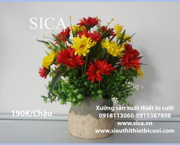 Bình hoa giá rẻ có tại sica.vn