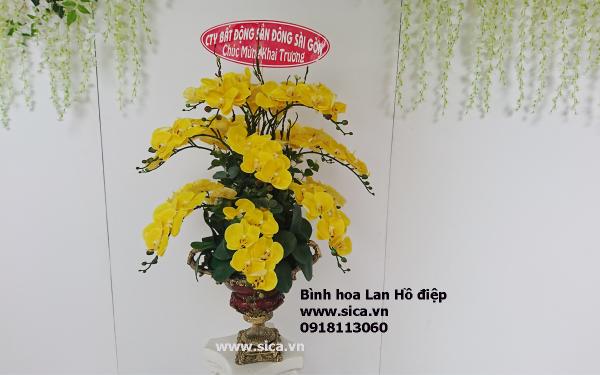 Binh hoa để bàn tặng khai trương- lan hồ điệp