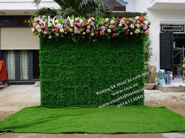 Backdrop chụp hình cưới