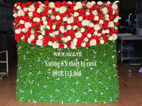 Phông chụp hình cưới hoa cỏ