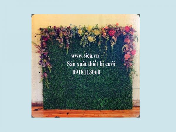 Nơi bán backdrop chụp hình cưới mới nhất