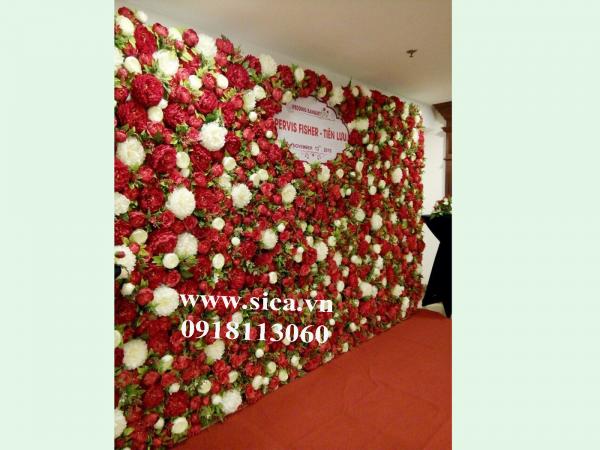 Phông chụp hình đám cưới đẹp