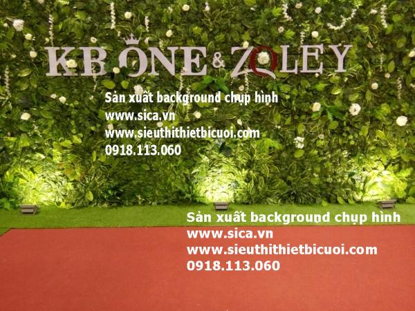 Bán backdrop chụp hình cỏ lá