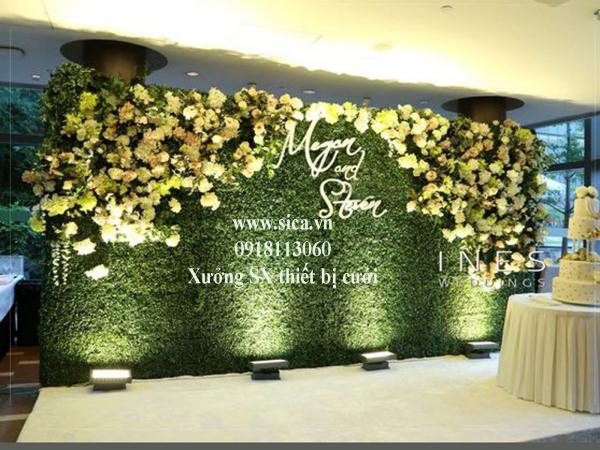 Cung cấp bán backdrop cưới hỏi