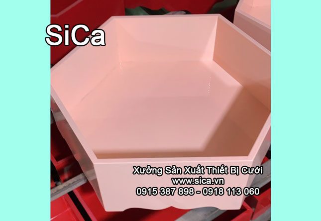 mâm quả lục giác